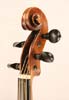 Violin Hopf 1780