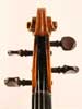 Violin Johannes Cuypers 1790