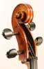 Cello Gaetano Antoniazzi Milano