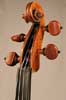 Violin "Italian 18th Century"