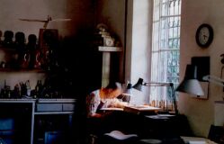 Mr. Heyligers examining the f-holes