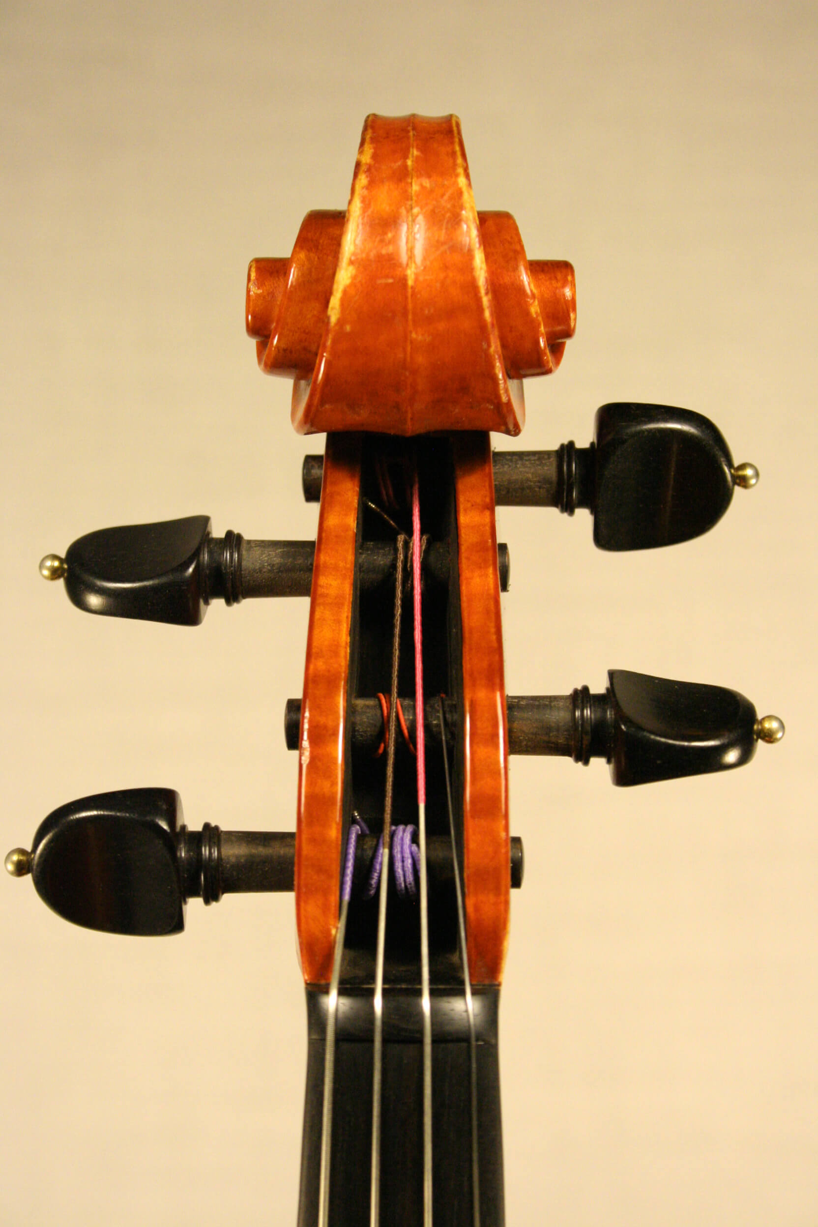 Viola M.A. Heyligers 1983 ‘Santa Rosa’