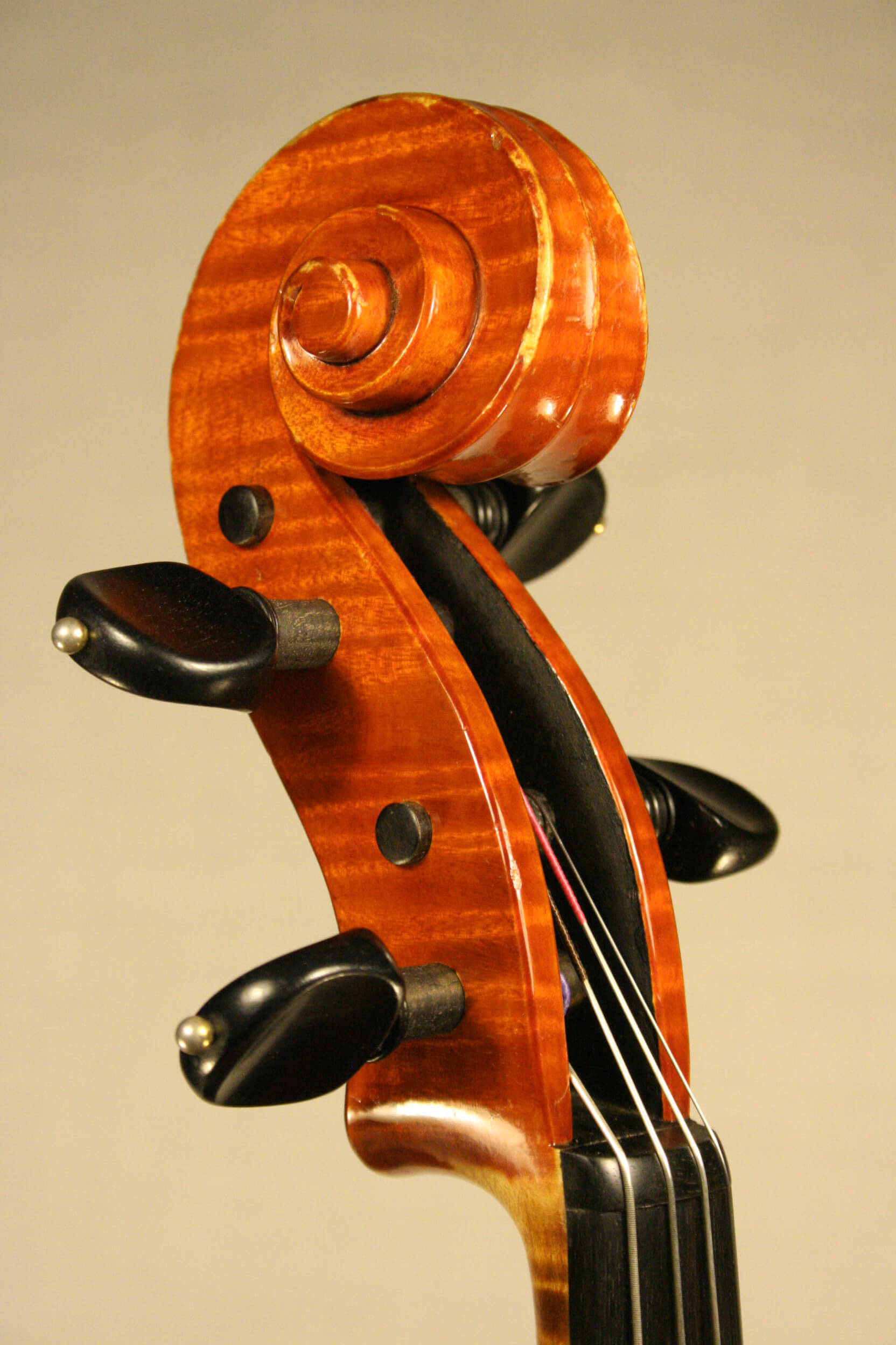 Viola M.A. Heyligers 1983 ‘Santa Rosa’