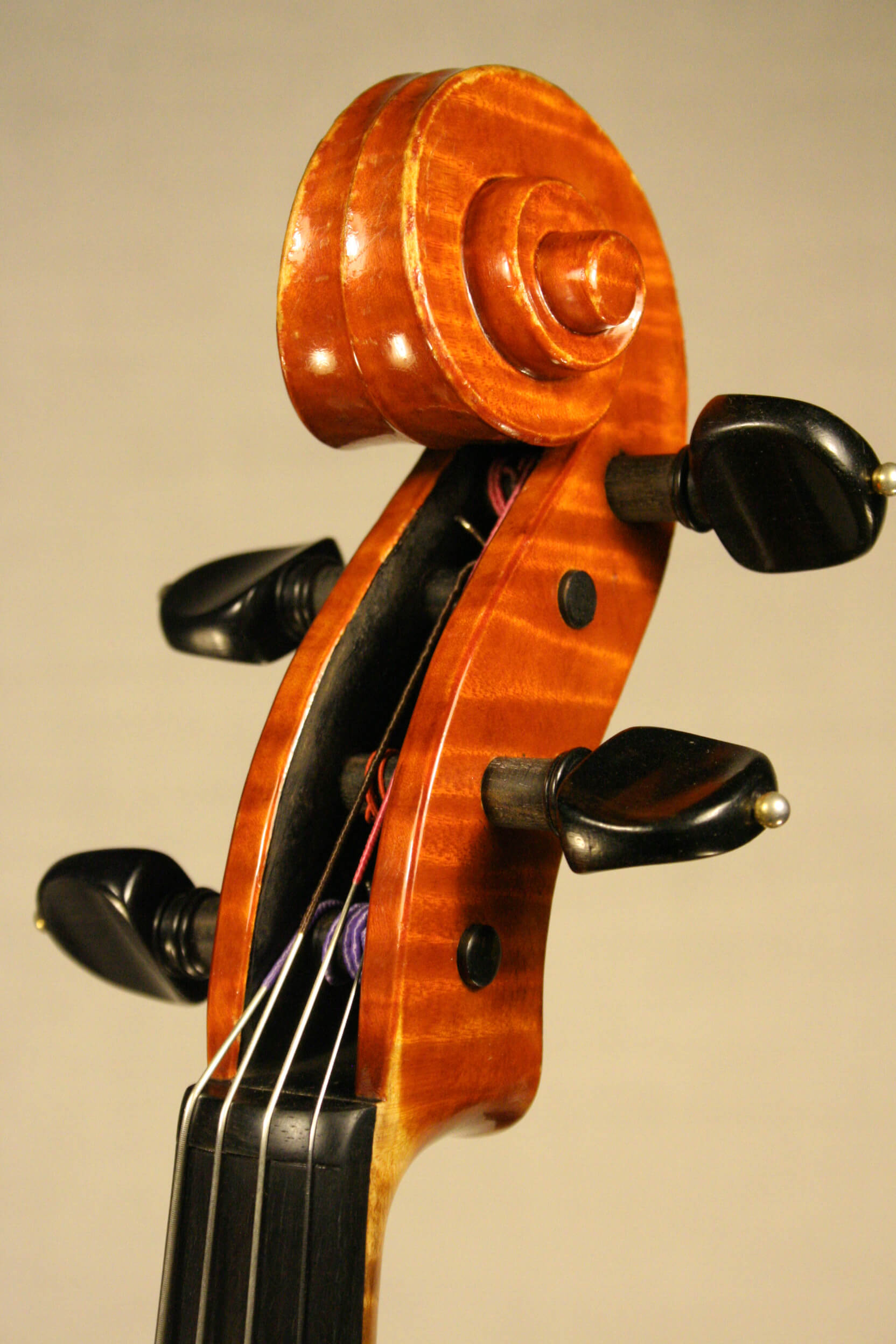 Viola M.A. Heyligers 1983 ‘Santa Rosa’