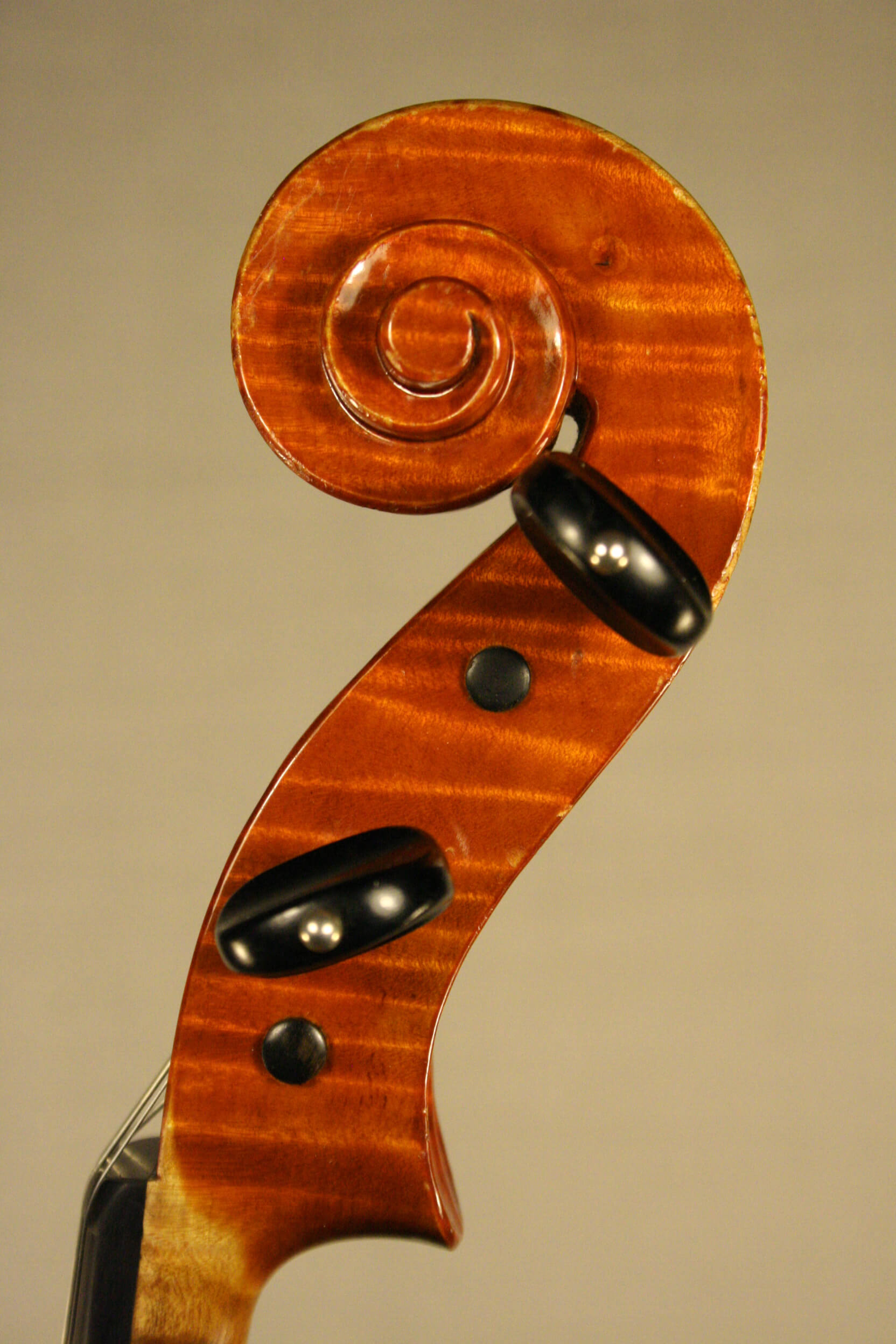 Viola M.A. Heyligers 1983 ‘Santa Rosa’