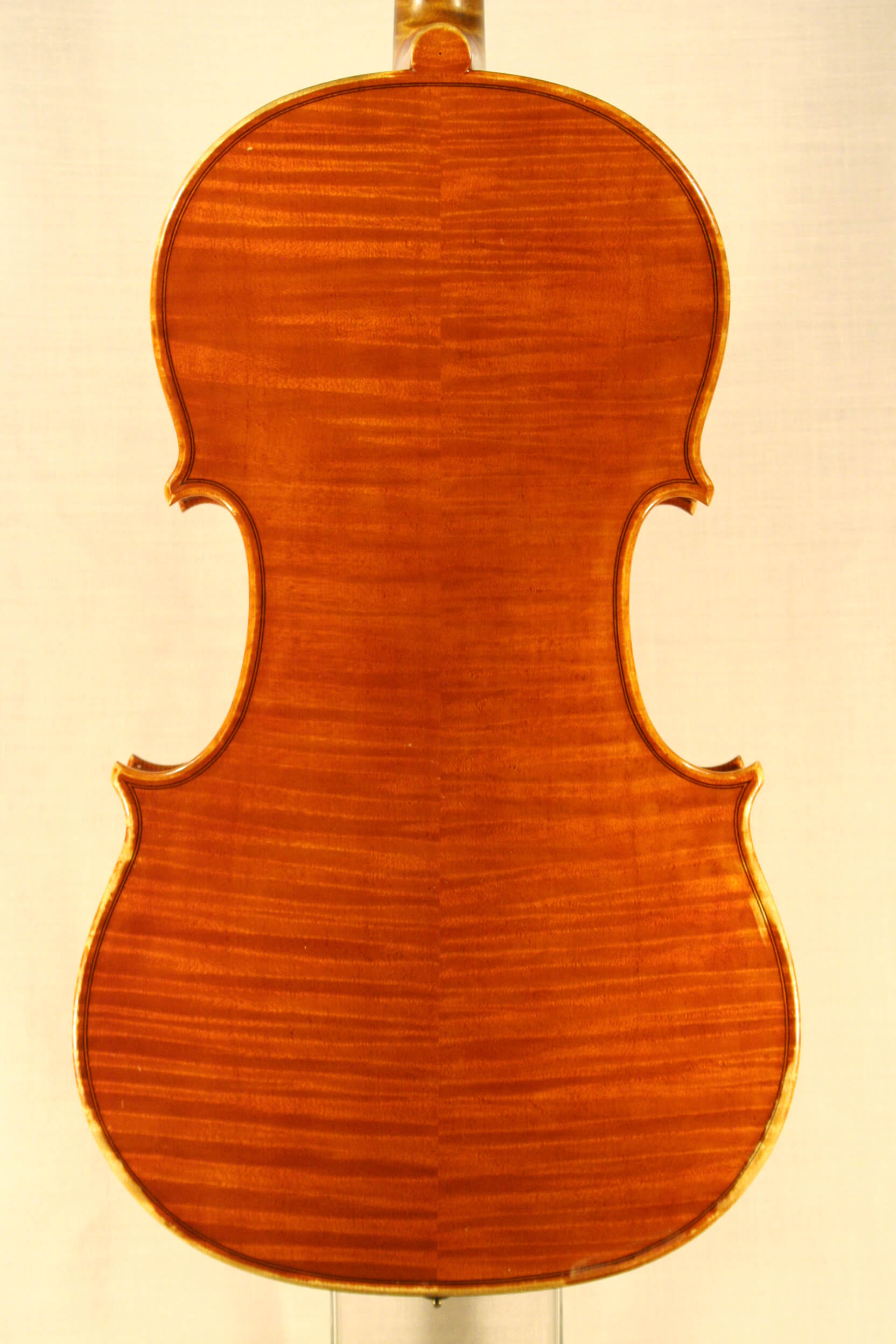 Viola M.A. Heyligers 1983 ‘Santa Rosa’