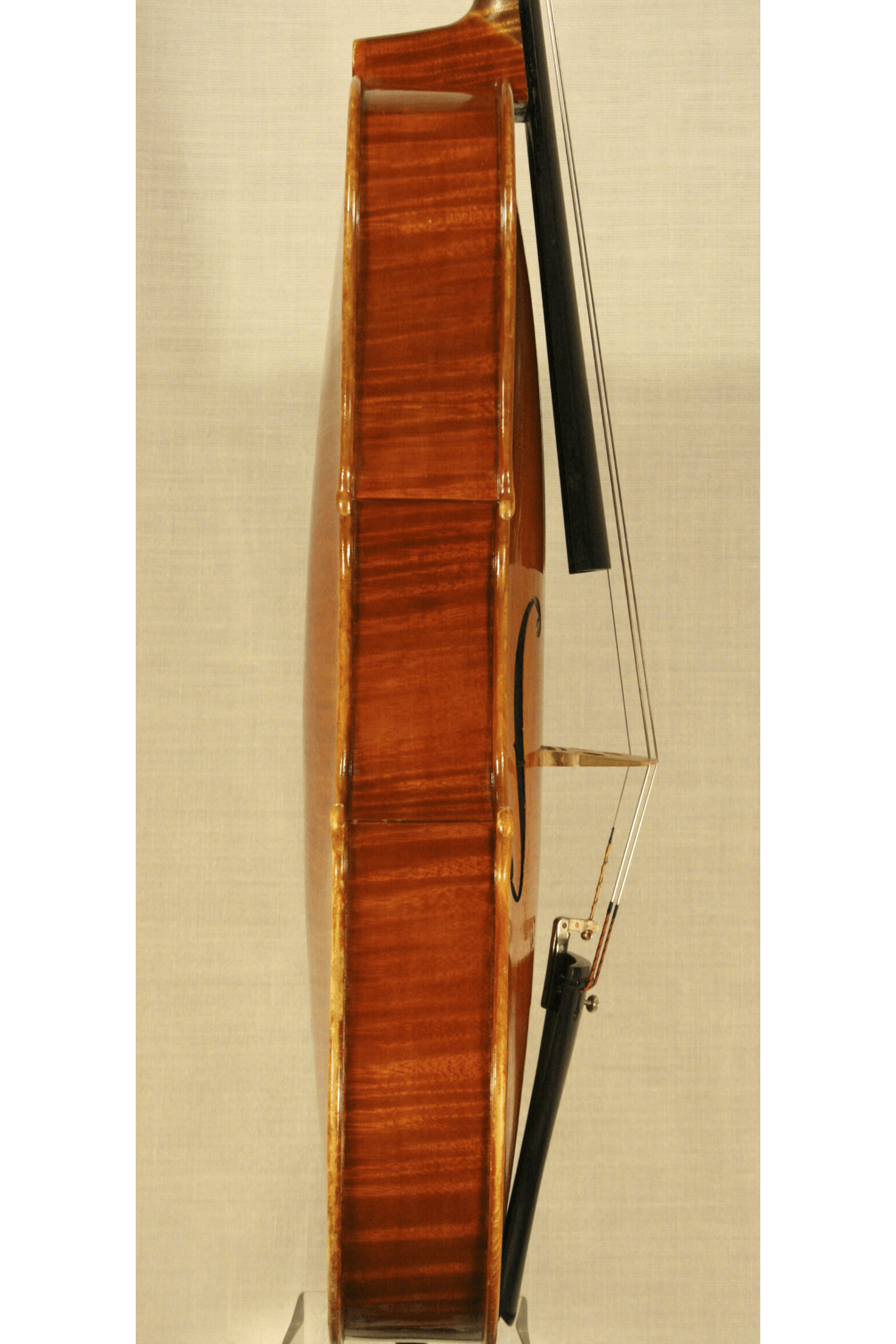 Viola M.A. Heyligers 1983 ‘Santa Rosa’